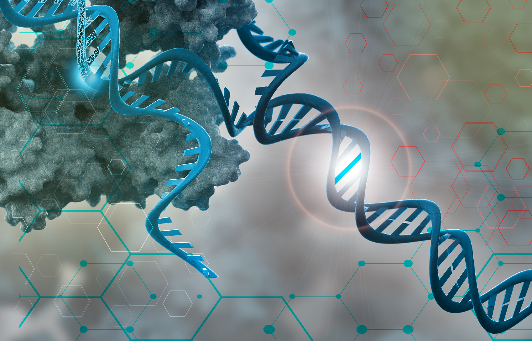 New CSIRO software aims to increase gene therapy safety for medical and biosecurity applications