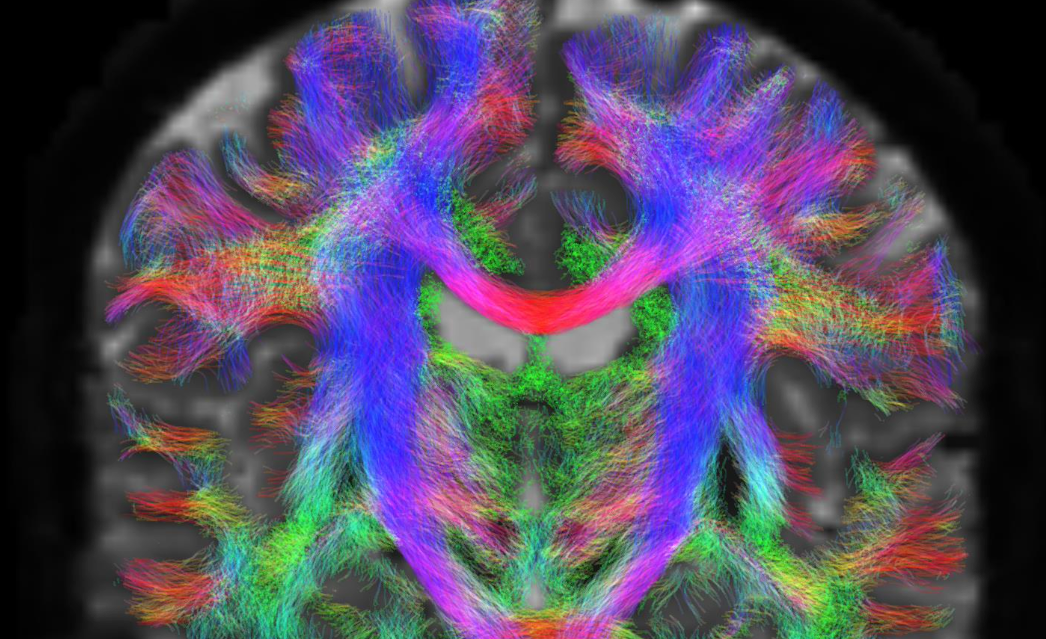 AEHRC: Exemplars of Artificial Intelligence and Machine Learning in Healthcare