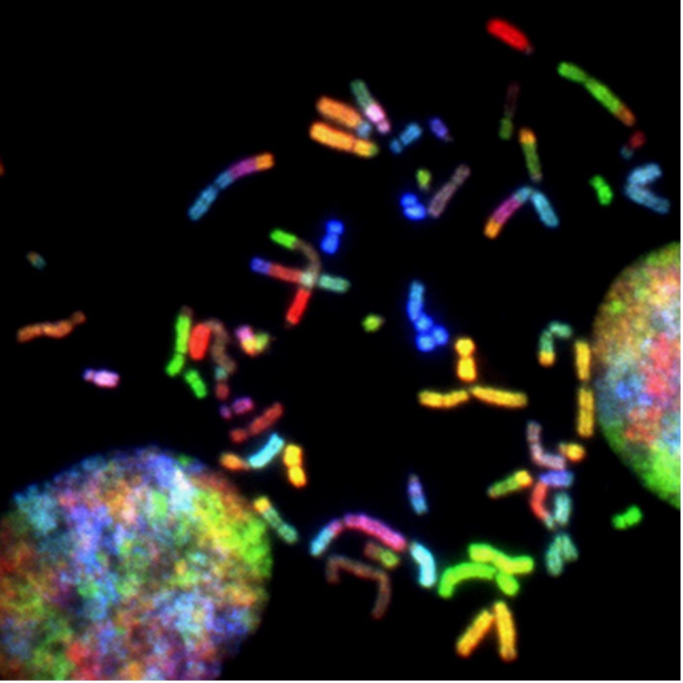 Increasing the vehicle capacity for gene therapy