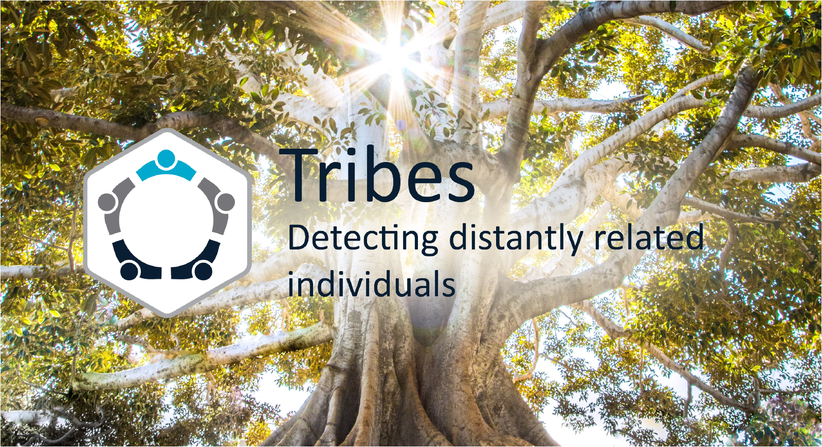 Tribes