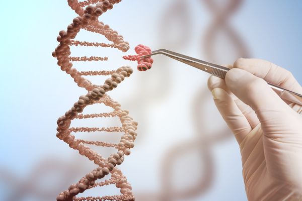 AEHRC researchers develop a more efficient way to detect disease genes
