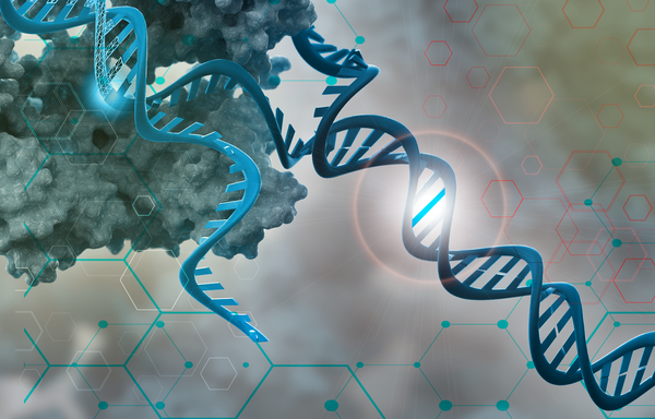 New CSIRO software aims to increase gene therapy safety for medical and biosecurity applications