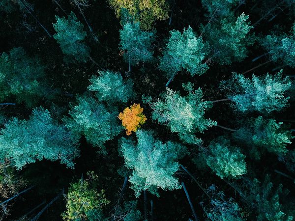 Australian Office of National Intelligence funds research project to detect artificially manipulated genomes