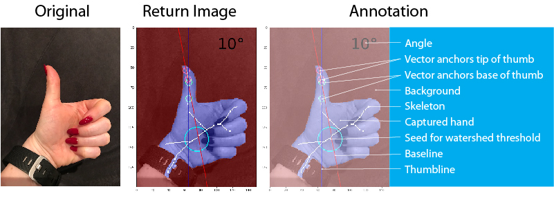 Hitchhiker s Thumb Calculator Learn The Angle Of Your Thumb
